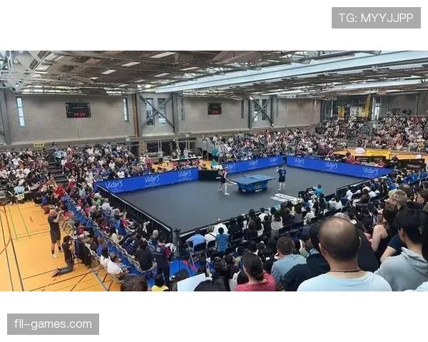 德甲主场狂热助球队逆袭取胜，球迷气势点燃赛场